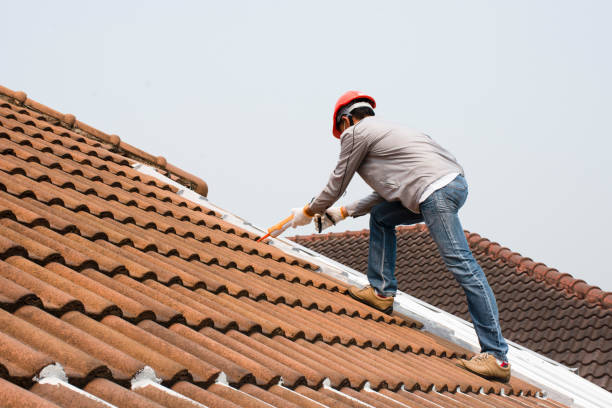 Best Metal Roofing Installation  in Rohnert Park, CA